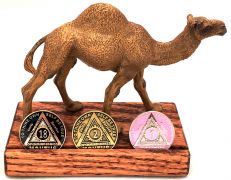 Camel Recovery Coin Display
